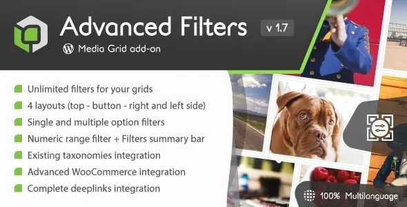 Media Grid Advanced Filters add-on