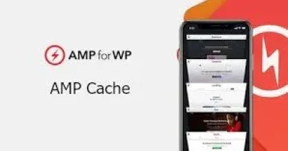 AMPforWP Cache