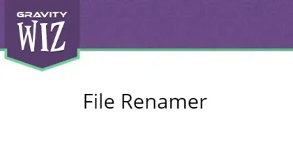 Gravity Forms File Renamer