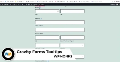 Gravity Forms Tooltips WPMonks