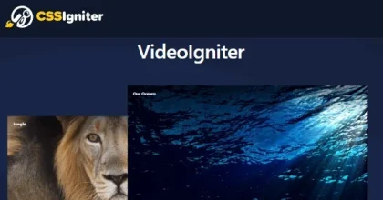 VideoIgniter Pro – CSSIgniter